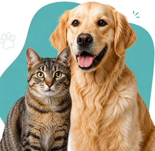 Perro y gato VidaVet